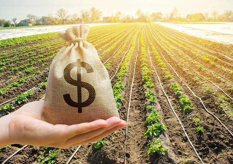Imagem referente a noticia: Contratou crédito rural? Você tem direito a receber a restituição da diferença de correção monetária